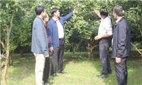 Thực hiện chính sách với Người có uy tín ở Cao Bằng: Khích lệ kịp thời đi liền chất lượng triển khai (Bài cuối)