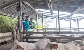 Cán Tỷ: Khi nguồn lực đầu tư triển khai đúng và trúng