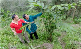 Hướng xóa nghèo cho người dân vùng biên Cán Tỷ