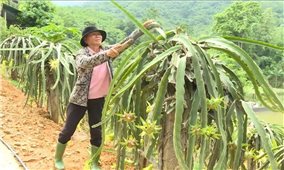 Xã Yên Nguyên (Tuyên Quang): Người có uy tín lực lượng 