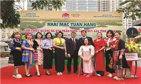 Vượt lên chính mình cô gái khuyết tật với hành trình nâng đỡ những số phận thiệt thòi