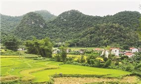 Cao Bằng: Chăm lo đội ngũ “gánh kỳ vọng, giữ niềm tin” ở vùng DTTS