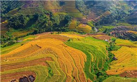 Khẩn trương hoàn thiện hồ sơ Báo cáo đề xuất chủ trương đầu tư Chương trình MTQG