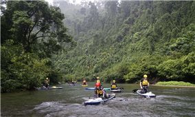 Phát triển chuỗi giá trị nông sản đặc thù và du lịch nông nghiệp bền vững tại các xã miền Tây Nghệ An