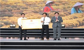 Nghề trồng hoa kiểng Sa Đéc được công nhận là Di sản văn hóa phi vật thể