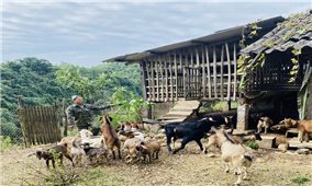 Người có uy tín Hoàng Văn Phùng 