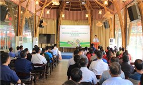 Hướng dẫn khôi phục sản xuất nông nghiệp sau bão, lũ