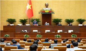 Xây dựng nhóm nội dung đặc thù đầu tư, hỗ trợ vùng đồng bào DTTS và miền núi