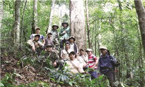 Gắn trách nhiệm, tạo sinh kế từ dịch vụ môi trường rừng