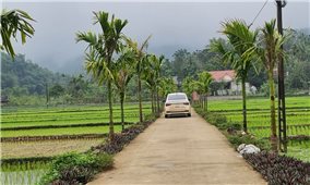 Thanh Hóa: Diện mạo nông thôn mới từ chung tay của Nhân dân