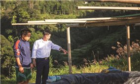 Tạo sinh kế bền vững nhờ Chương trình MTQG 1719