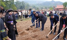 Lễ hội đình Đồng Đình và Ngày hội Văn hóa, Thể thao dân tộc Tày huyện Tiên Yên năm 2025