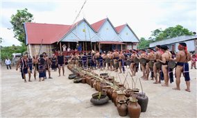 Gia Lai: Đồng bào Ba Na ở Kông Chro vui Lễ Sơmă Kơcham