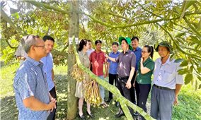 Phú Yên phấn đấu không còn xã dưới 15 tiêu chí trong xây dựng nông thôn mới