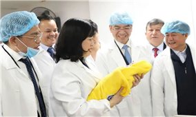 Bỏ kỷ luật đảng viên sinh con thứ ba: Bước điều chỉnh quan trọng phù hợp với thực tiễn
