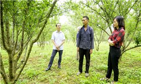 Xín Mần (Hà Giang): Những tín hiệu tích cực từ ứng dụng khoa học kỹ thuật vào sản xuất