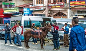 Văn hóa Mông trên lưng ngựa