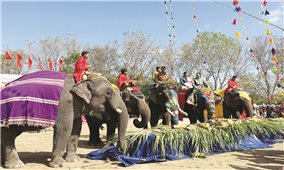 Độc đáo hội voi của đại ngàn