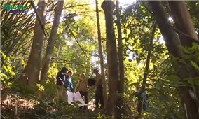 Thanh Hóa: Phát huy vai trò của tổ quần chúng tham gia bảo vệ rừng