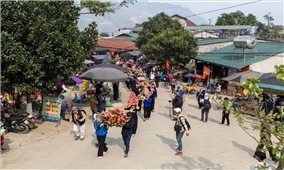 Lễ dâng hương Miếu Ông, Miếu Bà - Dấu ấn tâm linh tại Lễ hội Chợ Phong Lưu Khâu Vai