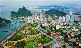 “Thần tốc” trong kỷ nguyên vươn mình!