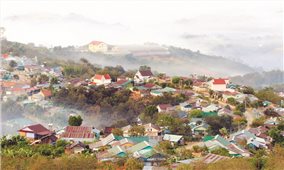 Sức sống Tây Nguyên