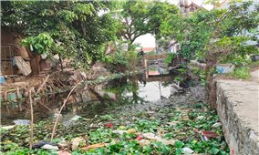 Kênh thoát nước thành “bãi rác lộ thiên”