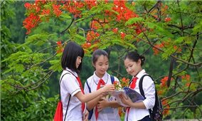 Thủ tướng chỉ đạo 3 vấn đề nóng trong giáo dục