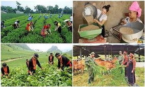 Điều chỉnh một số nội dung Chương trình mục tiêu quốc gia phát triển kinh tế - xã hội vùng DTTS và miền núi