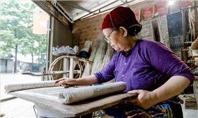 Sắc hoa thổ cẩm trên 