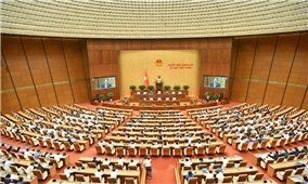 Phòng ngừa tiêu cực, tham nhũng, bảo đảm chất lượng xây dựng nhà ở xã hội