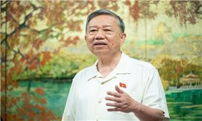 Luật Đấu thầu và yêu cầu sửa đổi khẩn cấp