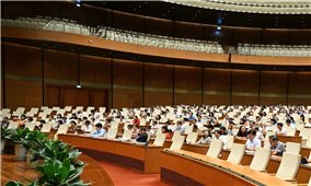 Các tổ chức chính trị - xã hội được tổ chức và hoạt động thống nhất trong Ủy ban Mặt trận Tổ quốc Việt Nam