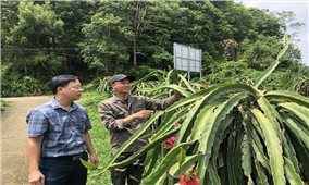 Bảo Yên bứt phá sau 5 năm thực hiện Nghị quyết Đại hội Đảng bộ huyện