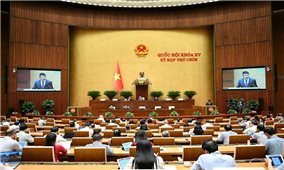 Trình Quốc hội dự án Luật Tương trợ tư pháp về hình sự