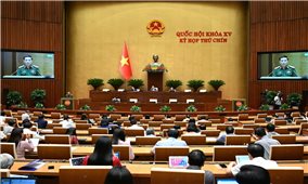 Thủ tướng Chính phủ có thể áp dụng các biện pháp mà pháp luật hiện hành chưa quy định trong trường hợp cần thiết