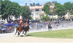 98 nài ngựa tham gia vòng loại Giải đua ngựa truyền thống huyện Bắc Hà lần thứ 18 năm 2025