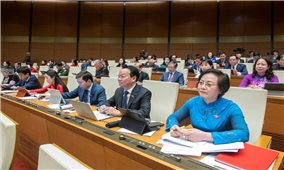 Giải quyết 99,95% kiến nghị cử tri gửi đến Kỳ họp thứ 8, Quốc hội khóa XV