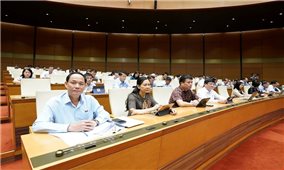 Đổi mới hoạt động nghiên cứu, phát triển và đổi mới sáng tạo, quản lý nhà nước về khoa học, công nghệ