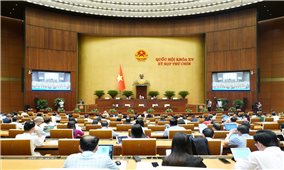 Hỗ trợ tạo việc làm, duy trì, mở rộng việc làm đối với người dân tộc thiểu số