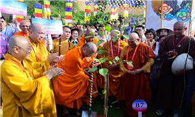 108 cây bồ đề thỉnh từ Ấn Độ được trồng trên ngọn núi cao nhất Nam Bộ