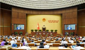 Luật Doanh nghiệp góp phần cải thiện môi trường đầu tư kinh doanh, nâng cao hiệu lực quản lý nhà nước đối với doanh nghiệp