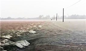 Quảng Ngãi chủ động ứng phó với mưa lớn, sạt lở đất