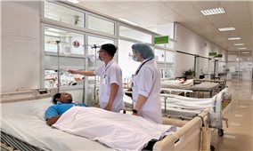 Hái nấm từ rẫy về ăn, 7 người ngộ độc