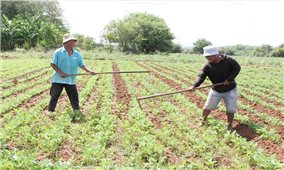 Ninh Thuận: Phân bổ hơn 105 tỷ đồng thực hiện Chương trình MTQG 1719 năm 2025