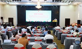Bình Định: Chương trình MTQG 1719 góp phần quan trọng vào sự phát triển kinh tế - xã hội