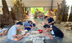 Khánh Hòa: Thêm hai di sản được công nhận là Di sản văn hóa phi vật thể quốc gia