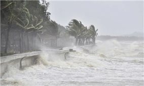 Cảnh báo thiên tai: Xuất hiện vùng áp thấp ở Biển Đông, có khả năng mạnh lên thành bão
