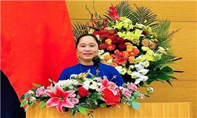 Cà Mau: Kỳ vọng vào những chuyển biến mới trong lĩnh vực dân tộc và tôn giáo
