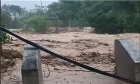 Bão số 3 làm 79 ngôi nhà bị tốc mái, hơn 100.000ha lúa ngập úng